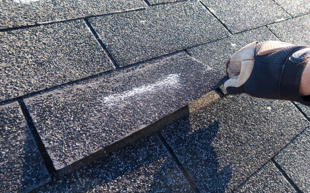 7 Signs Your Commercial Roof Needs Repair